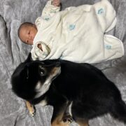 さくたろうくん